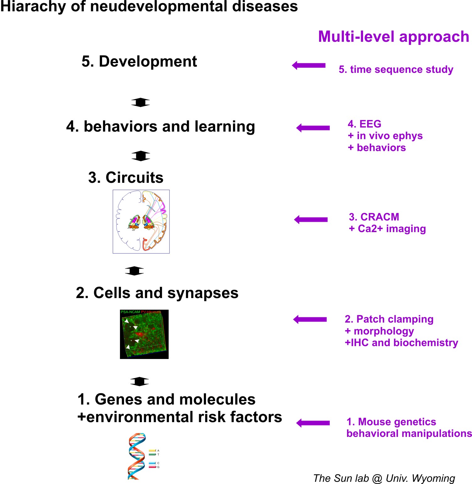 the research stratergy